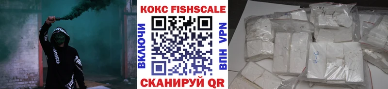 КОКАИН Fish Scale  mega как зайти  Краснослободск 