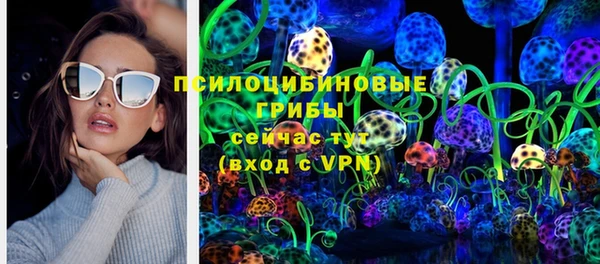 сатива Алексеевка