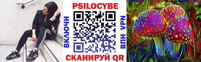 купить   Краснослободск  Псилоцибиновые грибы Psilocybe 